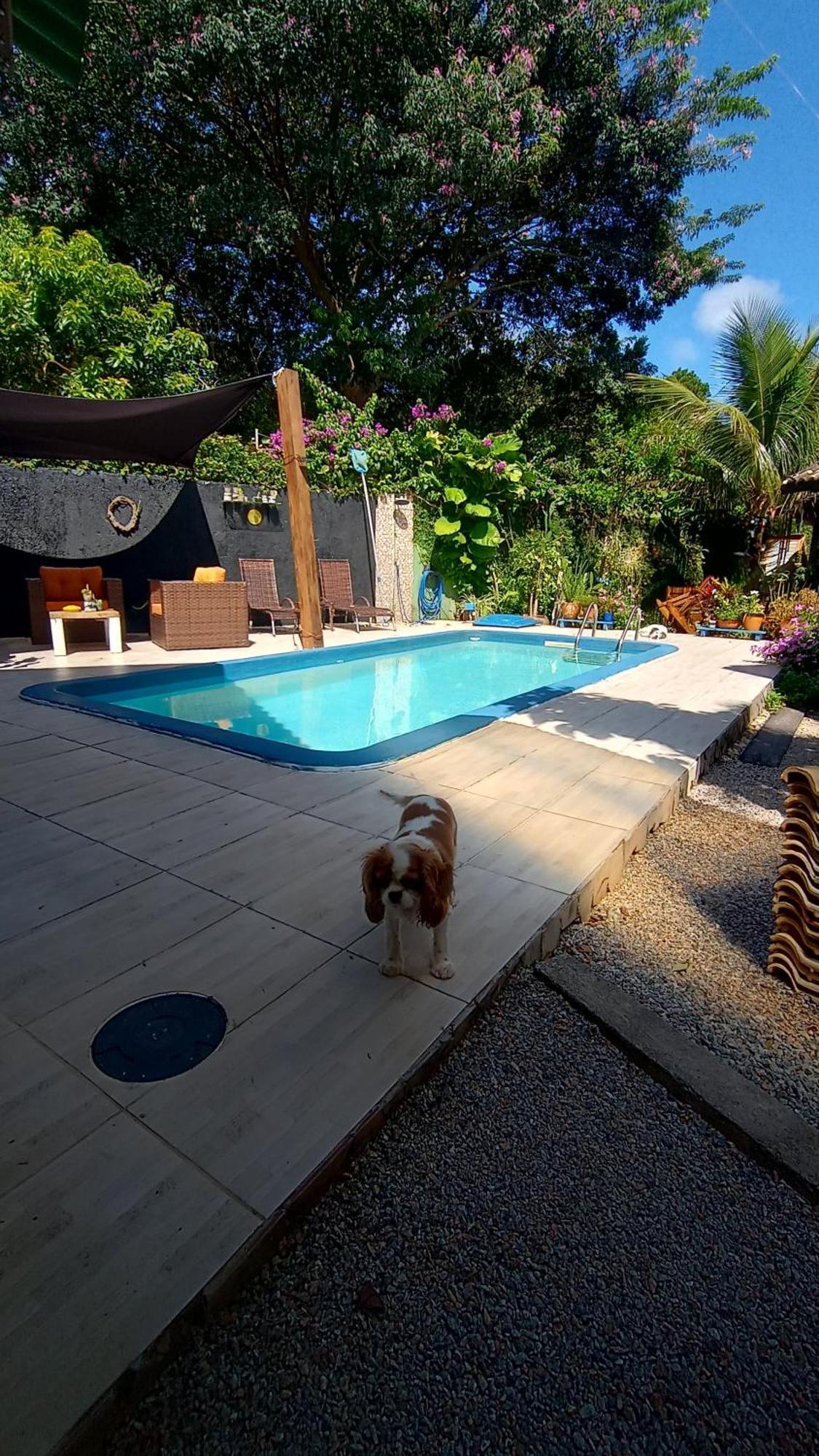 Pousada Zaua Guest House Florianópolis Exteriér fotografie